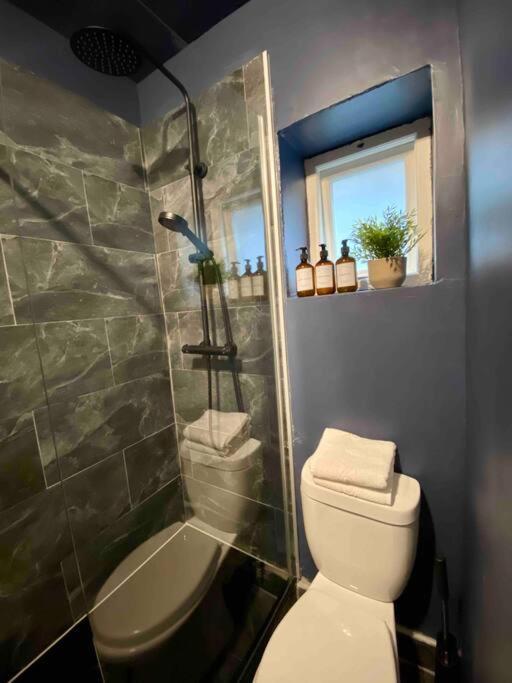 Stylish Studio For 3 Near Regents Park N4 ลอนดอน ภายนอก รูปภาพ